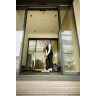 Моющий пылесос KARCHER PUZZI 9/1 BP PACK ADV 1.101-703