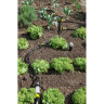 Редуктор давления с фильтром KARCHER 2.645-226