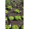 Шланг KARCHER RAIN SYSTEM 1/2 для капельного полива 2.645-227